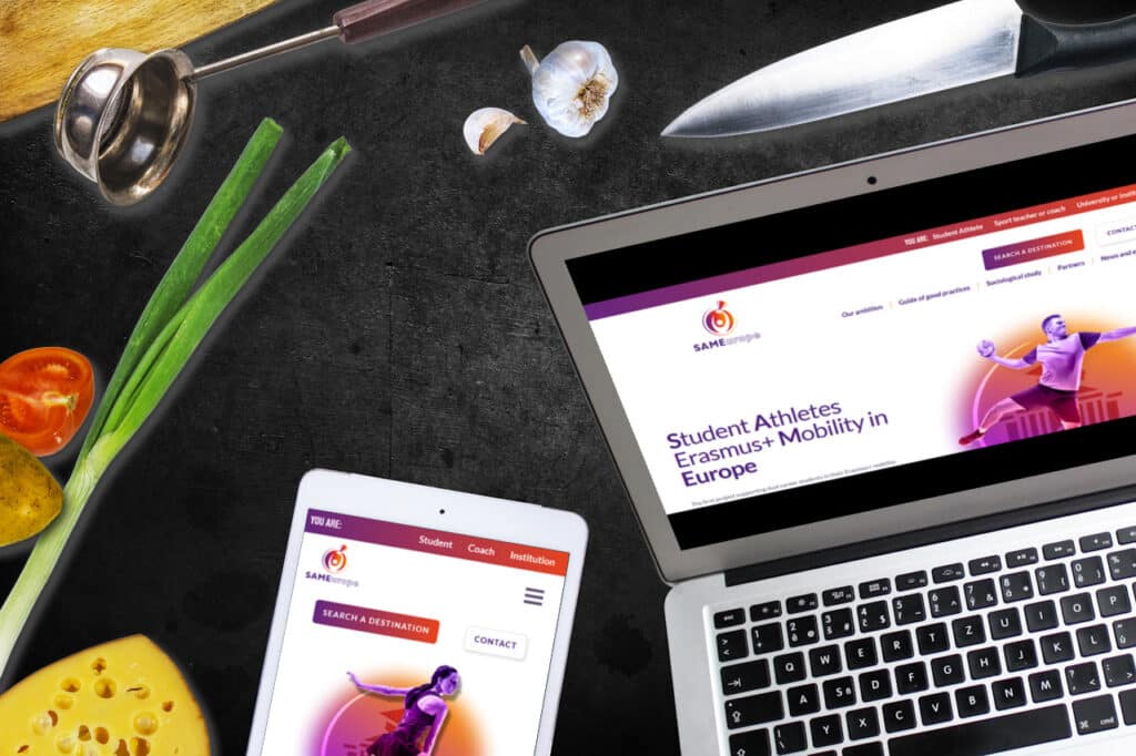 Mockup de l'INSA responsive